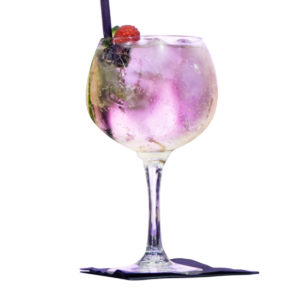 COPACABANA GIN GOBLET <br> By Onis