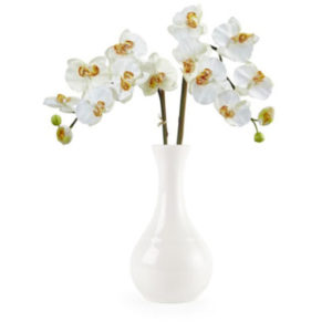 WHITE BUD VASE<br> By Churchill
