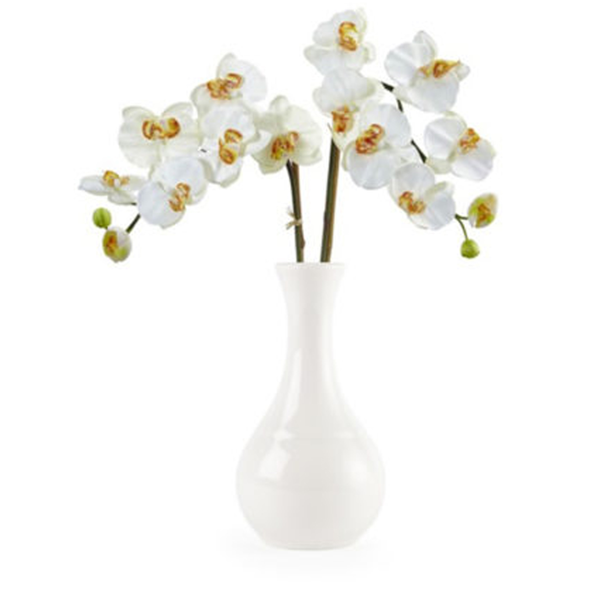 WHITE BUD VASE<br> By Churchill