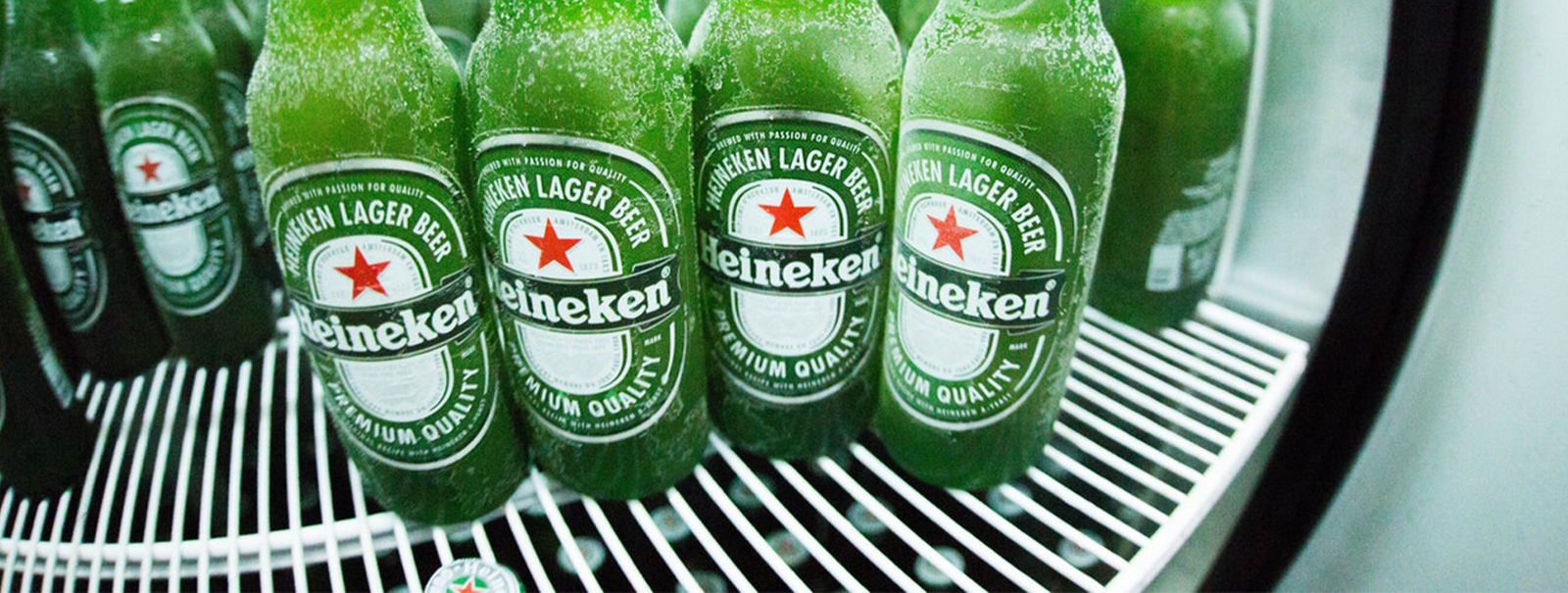 Fridges and Freezers