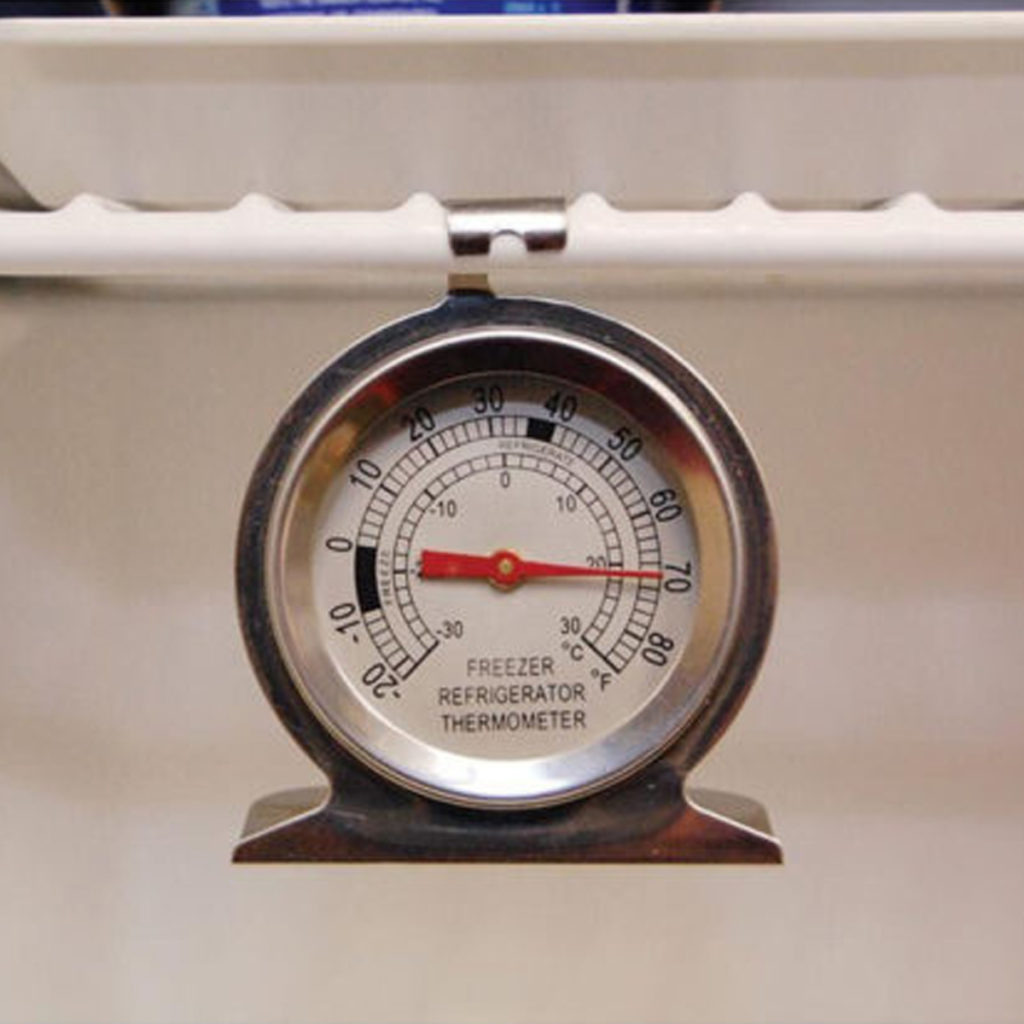 A fridge and freezer thermometer in use.