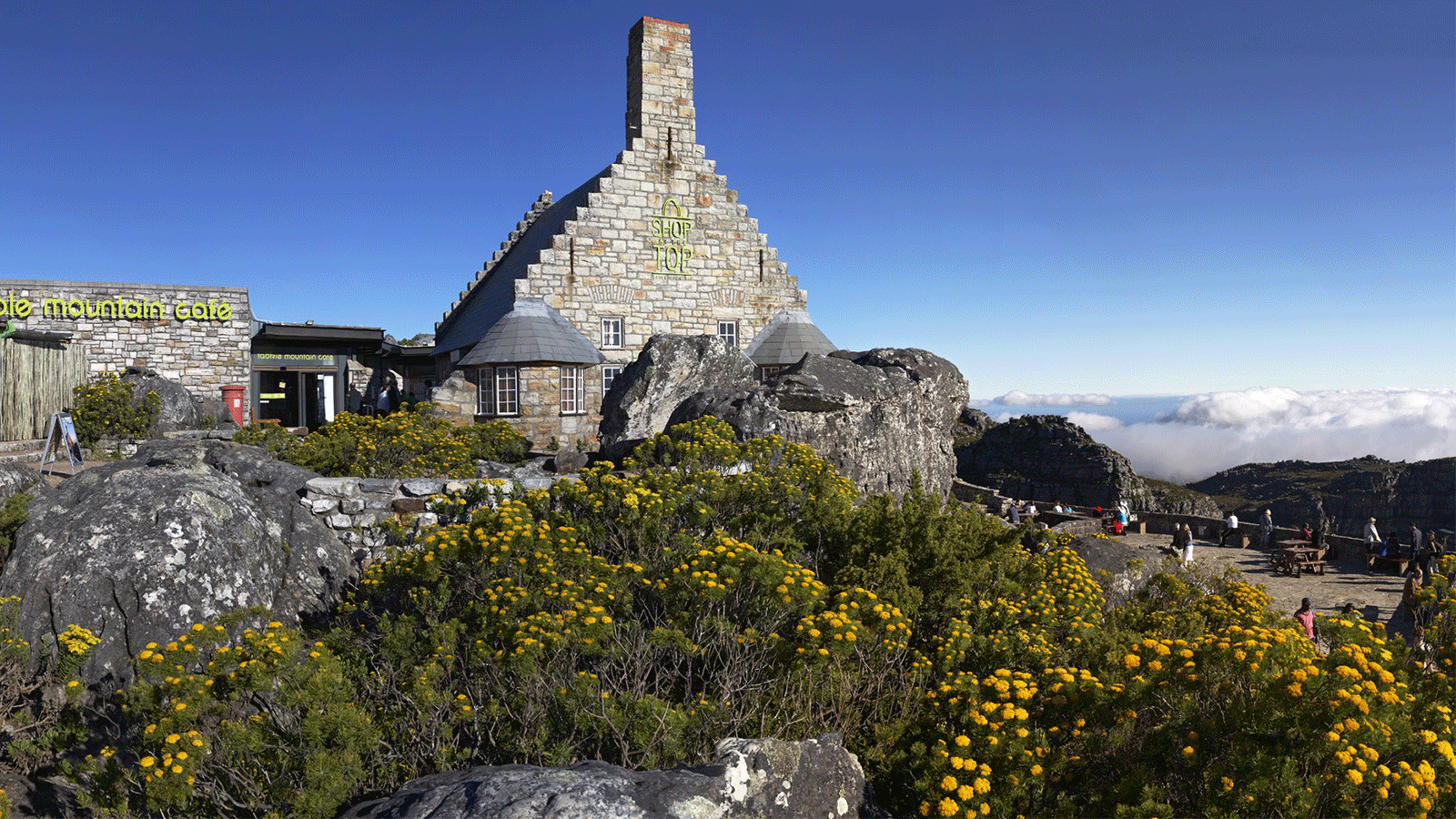 TABLE MOUNTAIN CAFE, CPT