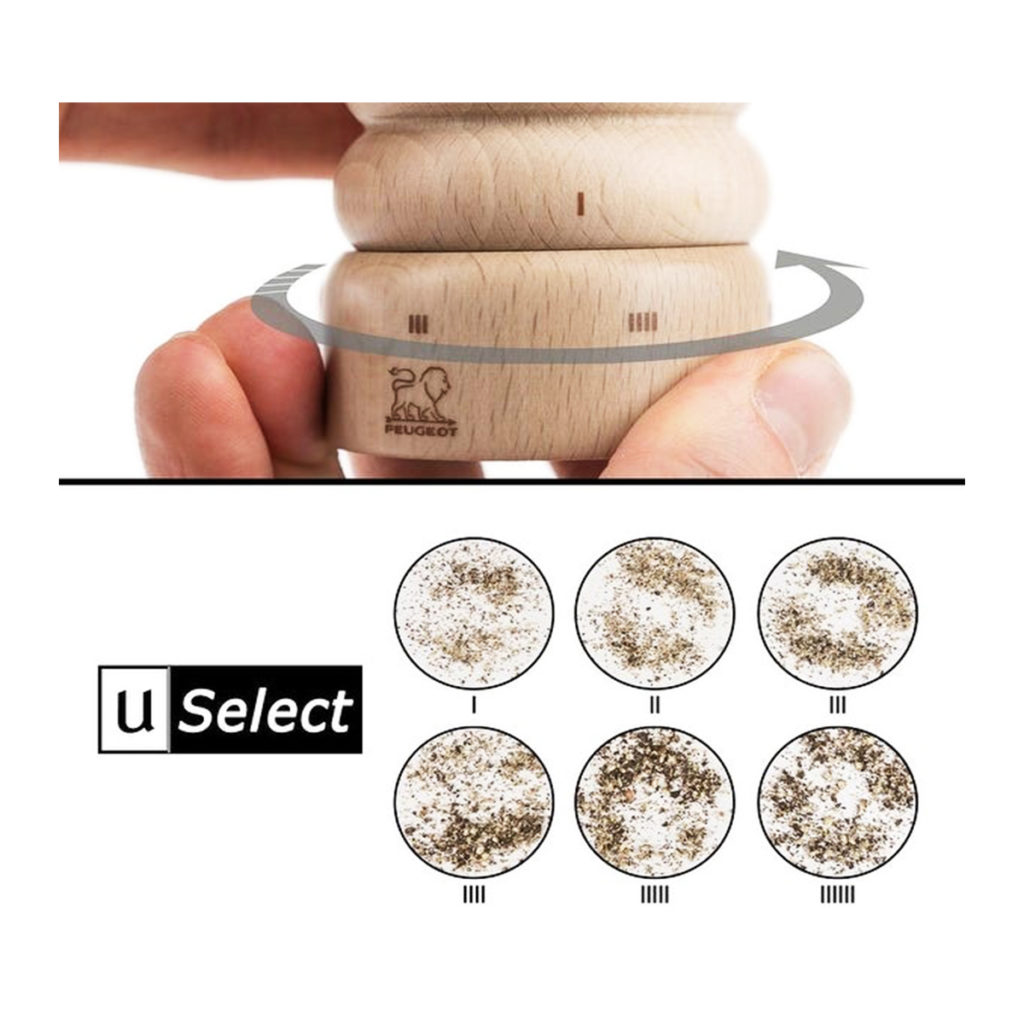 Demonstration of the Paris natural wood grinder.