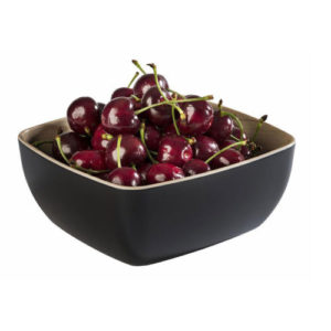 FRIDA GN 1/6 BOWL <br> BLACK <br> By APS