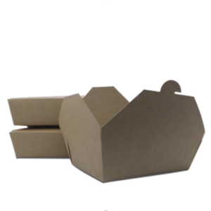 BIO KRAFT PAPER BOX <br> Large