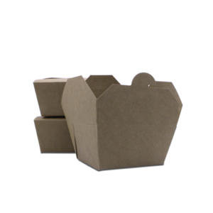BIO KRAFT PAPER BOX <br> Small