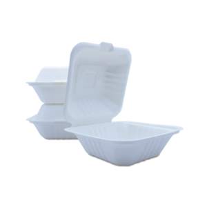 BIO SUGAR CANE BOX <br> Single Compartment
