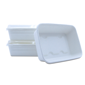 BIO SUGAR CANE CONTAINER <br> 500ml