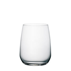 PREMIUM - AQUA FRIZZANTE TUMBLER 430ML <br> By Bormioli Rocco