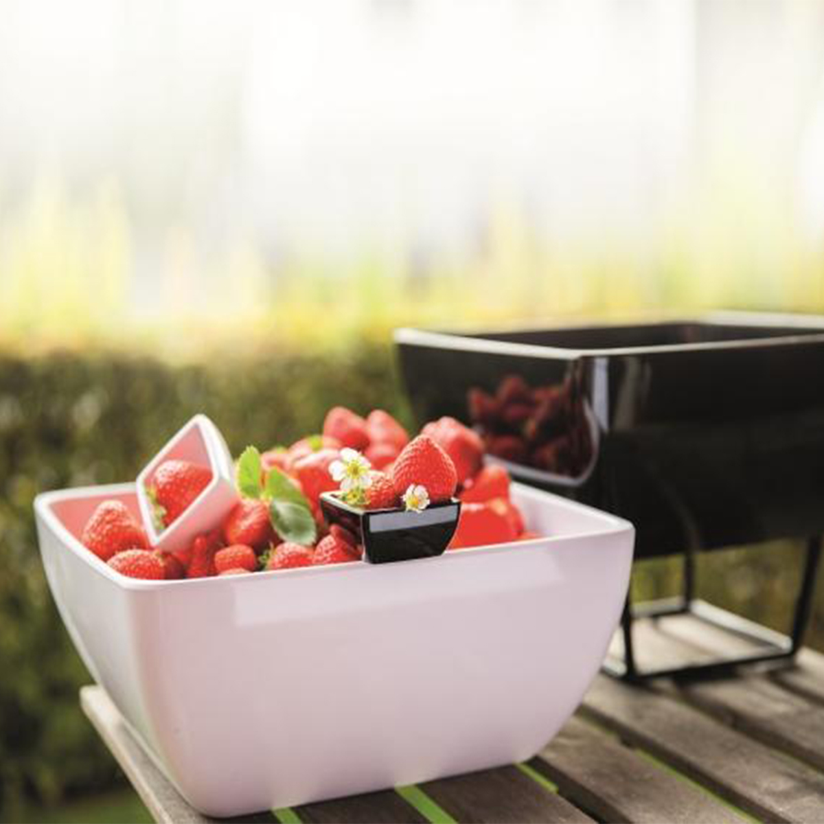 PURE SQUARE BOWL 3.8L <br> WHITE <br> By APS - Image 2